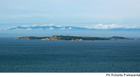 BUDELLI ARCIPELAGO DI LA MADDALENA