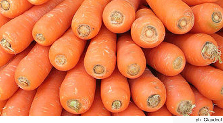 carrots.jpg