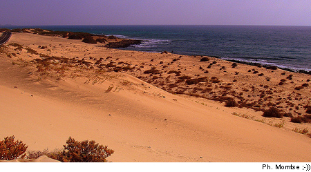 sardegna.jpg