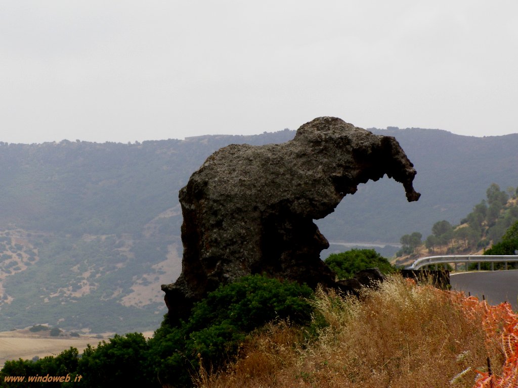 castelsardo_roccia_elefante_02 castelsardo_roccia_elefante_02