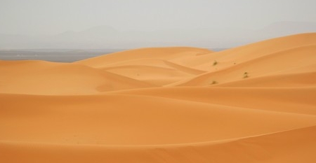 t_deserto_sahara_170