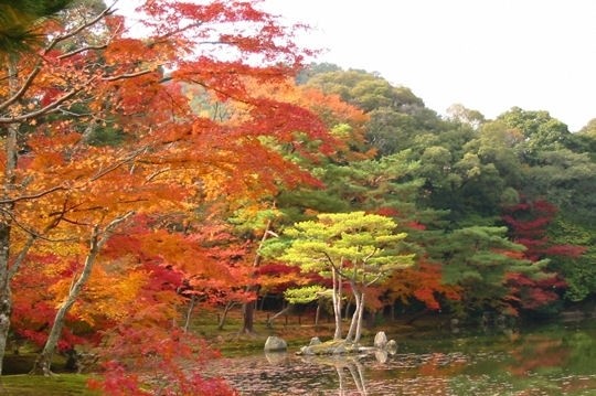 nel-parco-del-tempio-doro