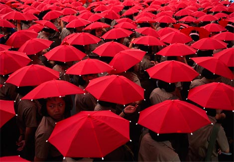 in-the-red-umbrellas