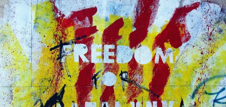 Graffiti-Freedom-Cat-720x343